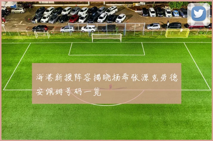 海港新援阵容揭晓杨希张源克劳德安佩姆号码一览